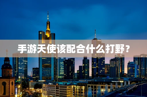 手游天使该配合什么打野？