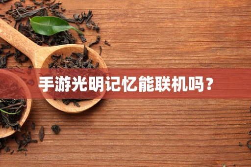 手游光明记忆能联机吗？