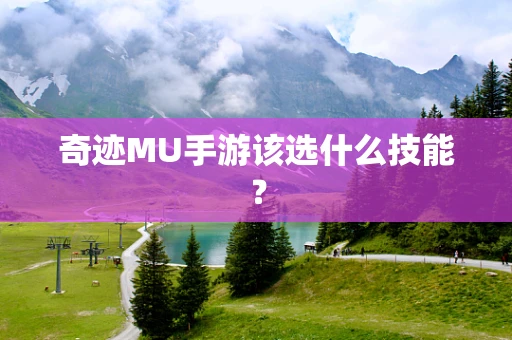奇迹MU手游该选什么技能？
