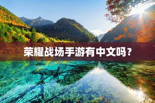 荣耀战场手游有中文吗？