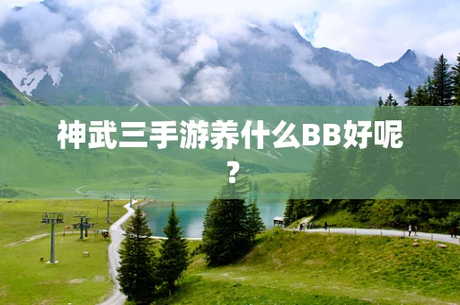 神武三手游养什么BB好呢？