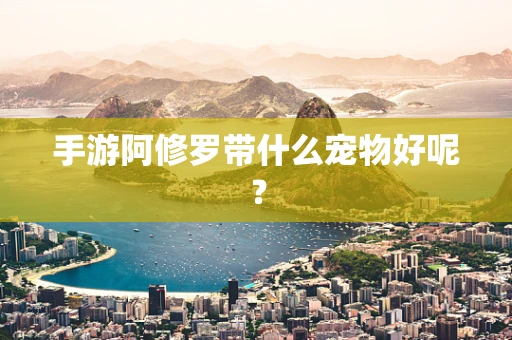 手游阿修罗带什么宠物好呢？