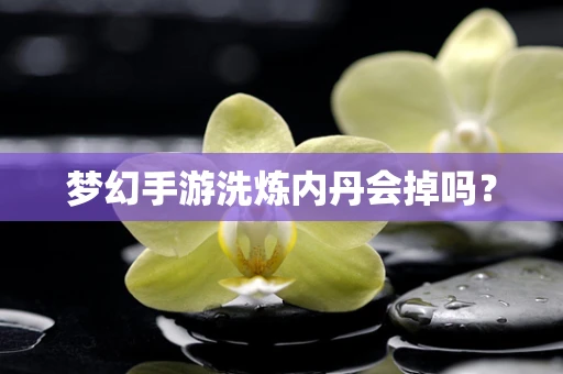 梦幻手游洗炼内丹会掉吗？