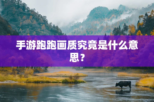 手游跑跑画质究竟是什么意思？