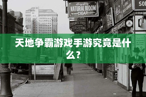 天地争霸游戏手游究竟是什么？