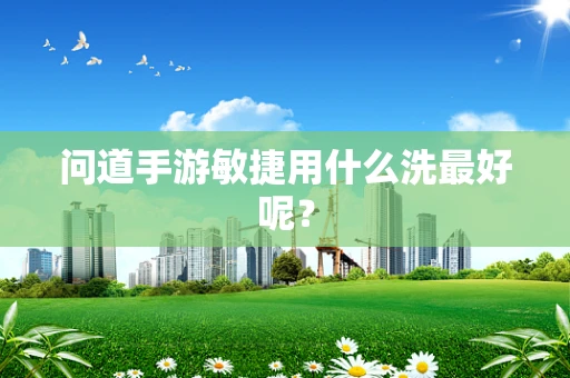 问道手游敏捷用什么洗最好呢？