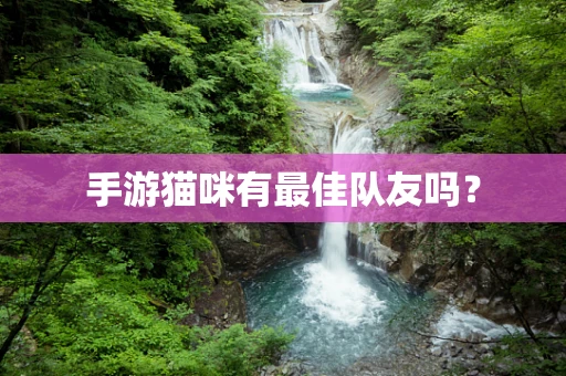 手游猫咪有最佳队友吗？