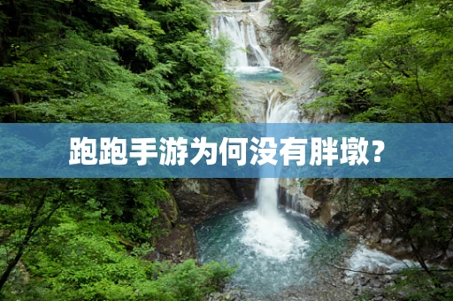 跑跑手游为何没有胖墩？