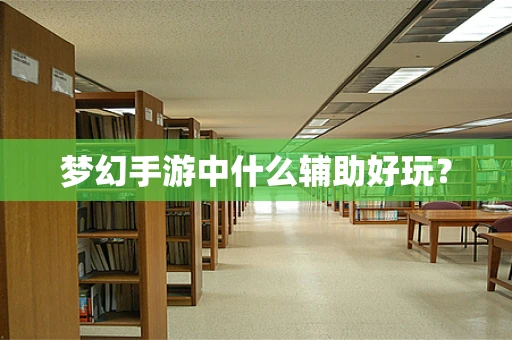 梦幻手游中什么辅助好玩？