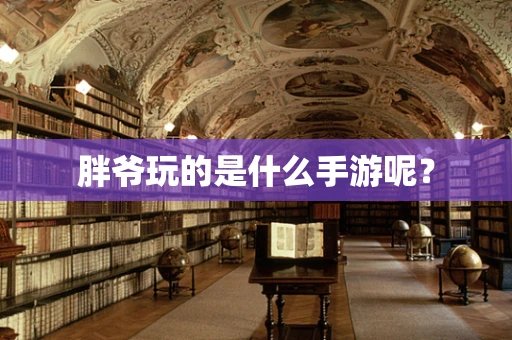 胖爷玩的是什么手游呢？