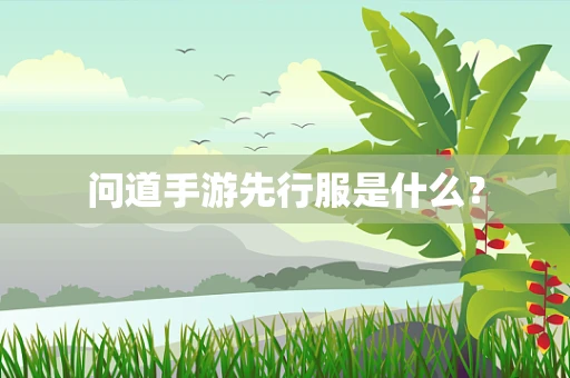问道手游先行服是什么？
