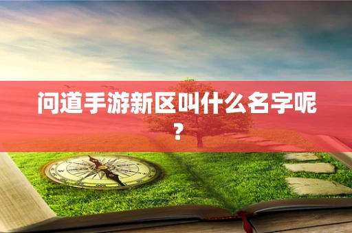 问道手游新区叫什么名字呢？