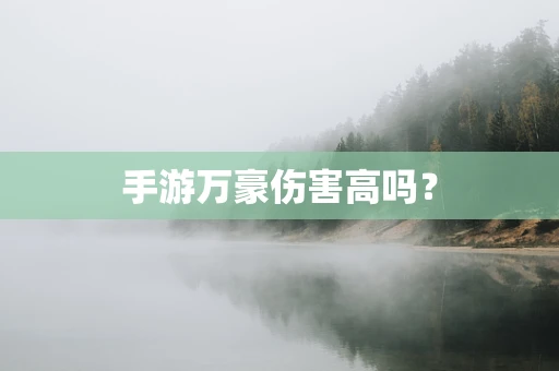 手游万豪伤害高吗？