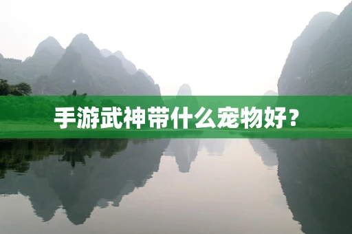 手游武神带什么宠物好？