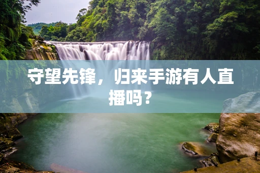 守望先锋，归来手游有人直播吗？