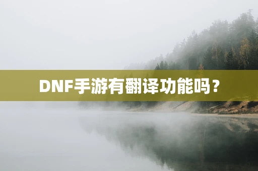 DNF手游有翻译功能吗？