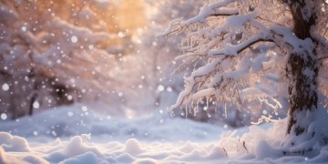 暖雪手游恐惧之心该搭配什么？