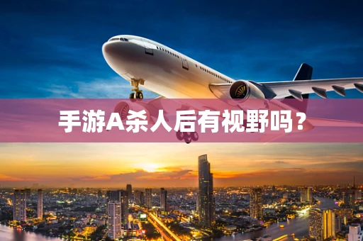 手游A杀人后有视野吗？