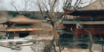 苹果开摩托手游有哪些值得推荐？